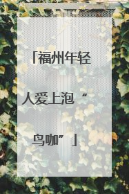 福州年轻人爱上泡“鸟咖”